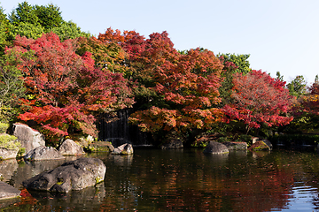 Image showing Japanese Kokoen Garden