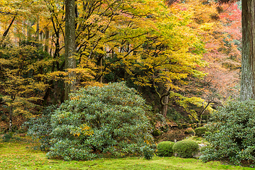 Image showing Japanese temple garden