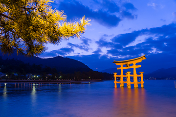 Image showing Torii in Itsukushima shine at evening