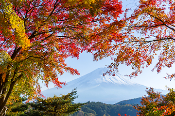 Image showing Lake kawaguchiko and Mt.Fuji in autumn