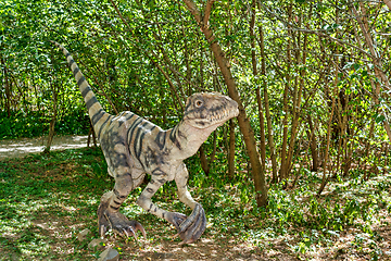 Image showing prehistoric dinosaurs raptor