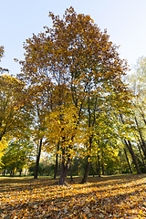 Image showing Park in the fall