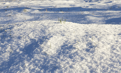 Image showing Winter season