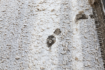 Image showing Traces on the snow