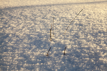 Image showing Snow drifts in winter