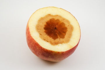 Image showing apple cut with rotten core 