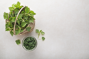 Image showing Nettle pesto 