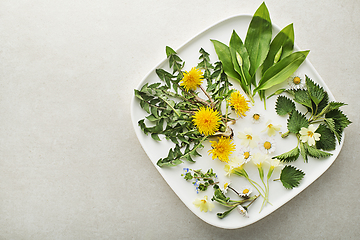 Image showing Spring plants food