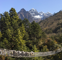 Image showing Yaks caravan crossing suspension bridge in Himalayas