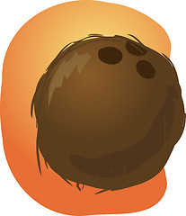Image showing Coconut illustration