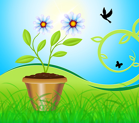 Image showing Potted Plant Means Flower And Gardening 3d Illustration