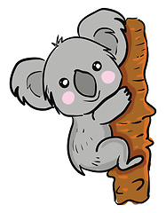 Image showing Cartoon Koala on a tree vector or color illustration