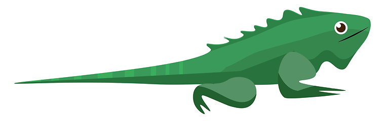 Image showing A crawling green iguana/ Iguana iguana/wild reptile vector or co