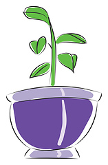 Image showing Pot with a small flower illustration vector on white background 
