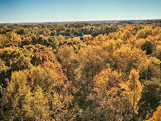 Image showing aerial view of colorful trees in a neighborhood before sunset