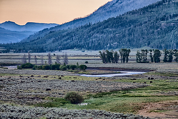 Image showing The sun setting over the Lamar Valley near the northeast entranc