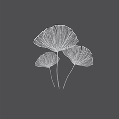 Image showing Portrait of black and white flower over black background vector 