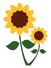 Image showing A sunflower plant with two flower heads vector or color illustra