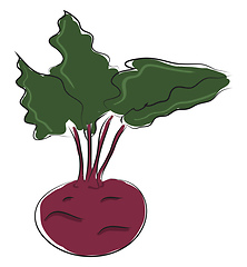 Image showing Cartoon purple beetroot vector illustration on white backgorund