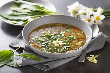 Image showing Soup vegetable