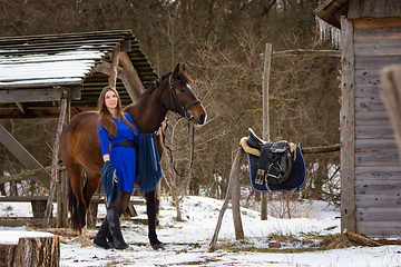 Image showing A beautiful girl in a short blue dress walks with a horse near the farm in winter