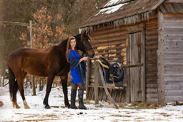 Image showing A beautiful girl in a short blue dress stands with a horse from an old wooden house