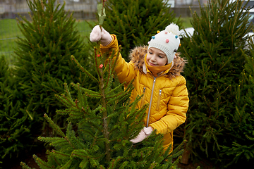 Image showing little girl choosing christmas tree at market