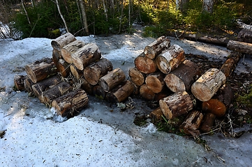 Image showing stacks of firewood on the snow in the forest