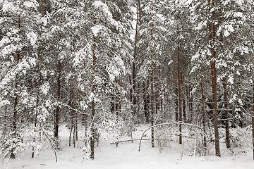 Image showing Winter landscape