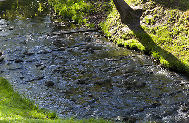 Image showing Stones in the water