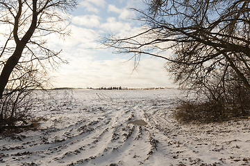 Image showing field in winter