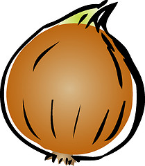 Image showing Onion illustration