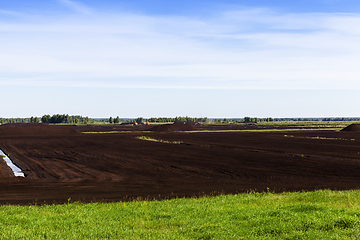 Image showing production of peat