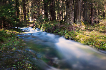 Image showing mountain stream in spring