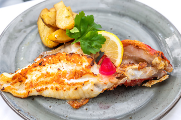 Image showing plate of grilled fish fillet