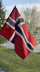 Image showing National flag