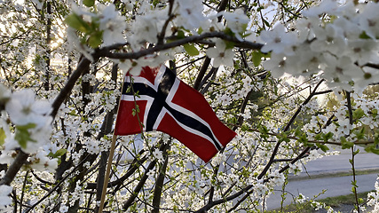 Image showing Spring in Norway