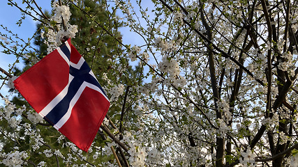 Image showing Norway flag