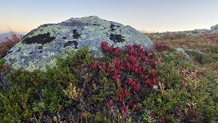 Image showing Beautiful in mountain