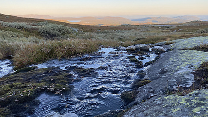 Image showing fjellbekk ved tuddalsvegen