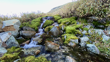 Image showing Fjellbekk i grønn Norsk natur