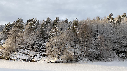 Image showing Wintertime