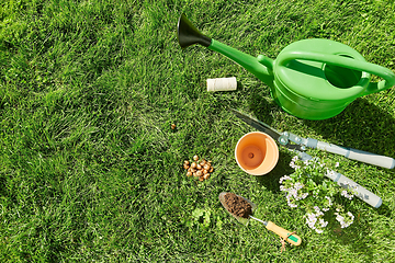 Image showing watering can, garden tools and flower at summer