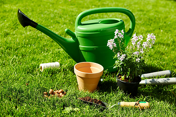 Image showing watering can, garden tools and flower at summer