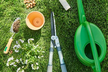 Image showing watering can, garden tools and flower at summer