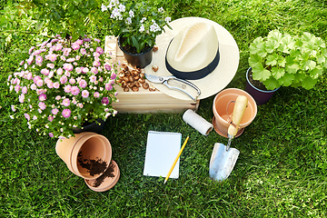 Image showing garden tools, wooden box and flowers at summer