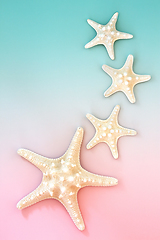 Image showing Starfish Seashell Creative Background Composition