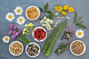 Image showing Healing Herbs Used in Herbal Medicine