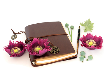 Image showing Poppy Flowers and Seeds Used in Herbal Medicine 