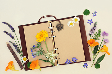 Image showing Healing Herbs and Flowers for Nature Study 